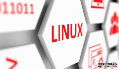 <b>如果你会说Austrumi Linux的语言，它就有很大的潜力</b>